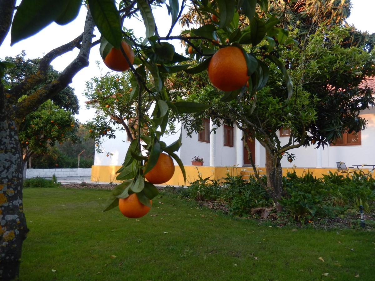 Bed and Breakfast Quinta Laranjal Da Arrabida Palmela Exteriér fotografie